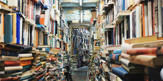 Regale voller Bücher