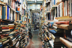 Regale voller Bücher