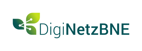DigiNetzBNE Logo
