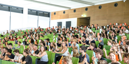 Studierene im Hörsaal Studierende sitzen in einer Vorlesung im Hörsaal.